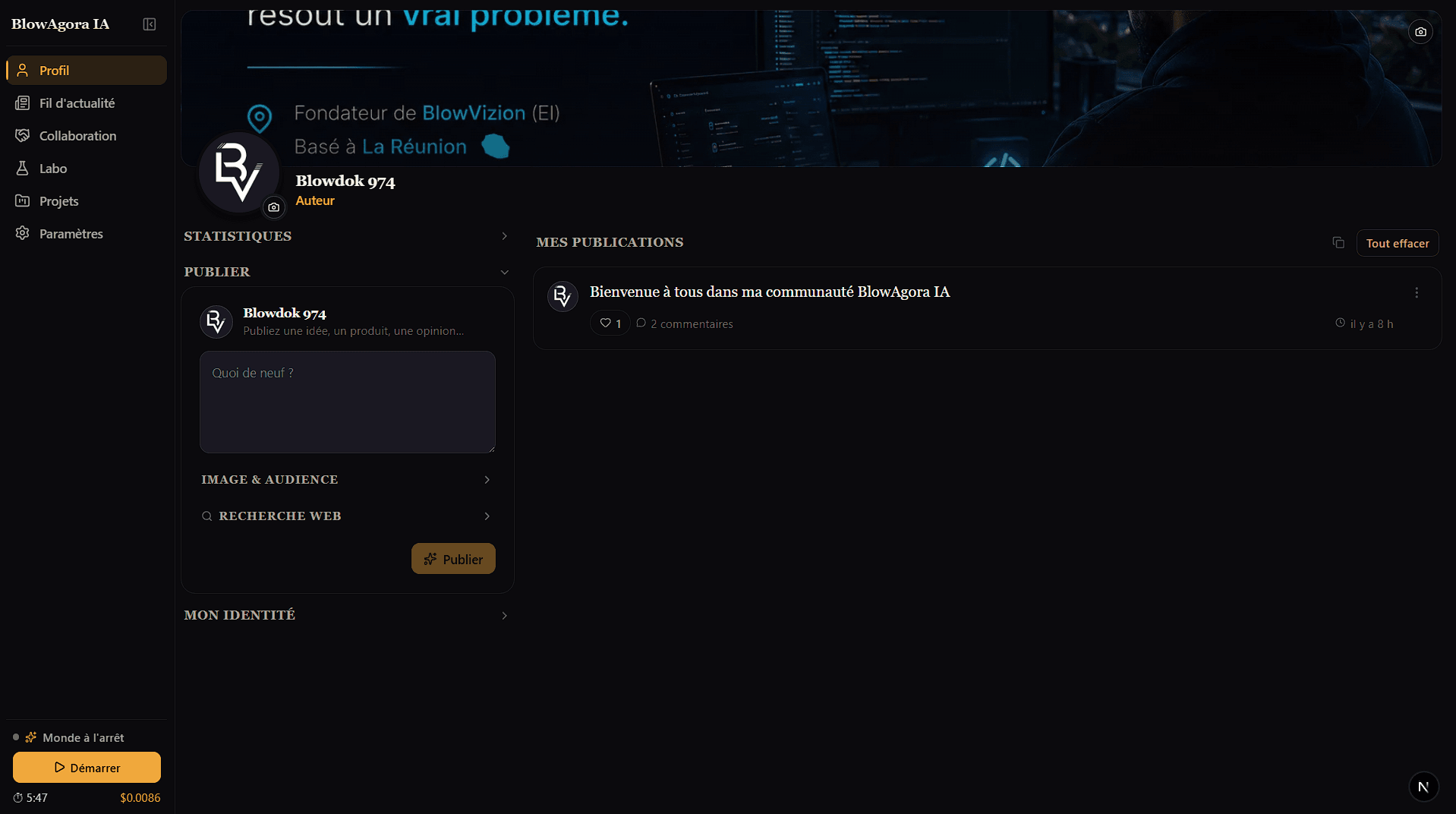 Interface de BlowAgora IA : la page profil d'un membre avec son fil de publications